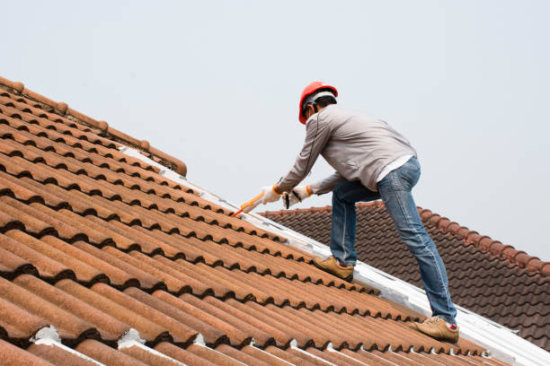 Best Wood Shake Roofing  in Oakfield, WI